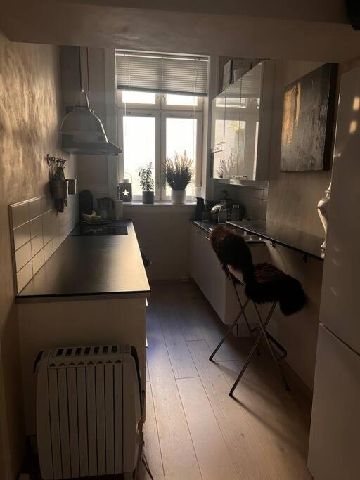 Royal Neighbourhood Elegant Flat In Central Осло Екстер'єр фото