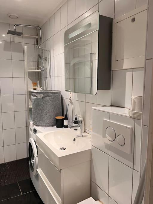Royal Neighbourhood Elegant Flat In Central Осло Екстер'єр фото